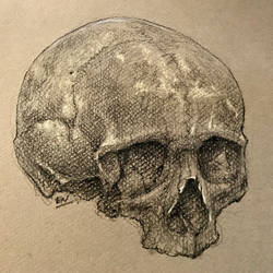 Catacomb Skull