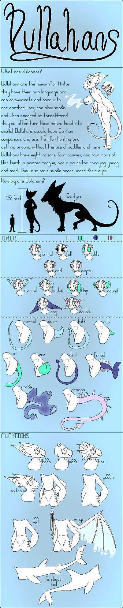 Dullahan Reference Sheet 10/22/17