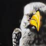 Watchful bird