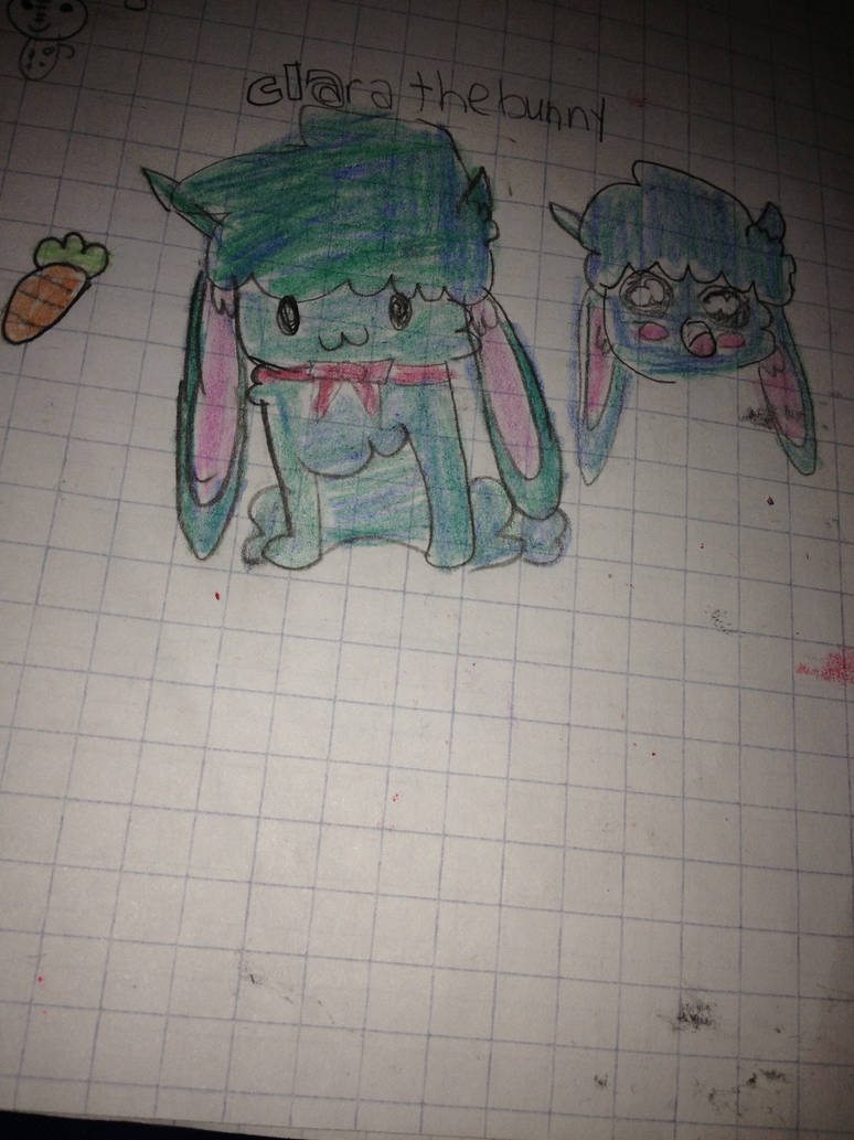 Clara the bunny rabbit by hmiku16 on DeviantArt