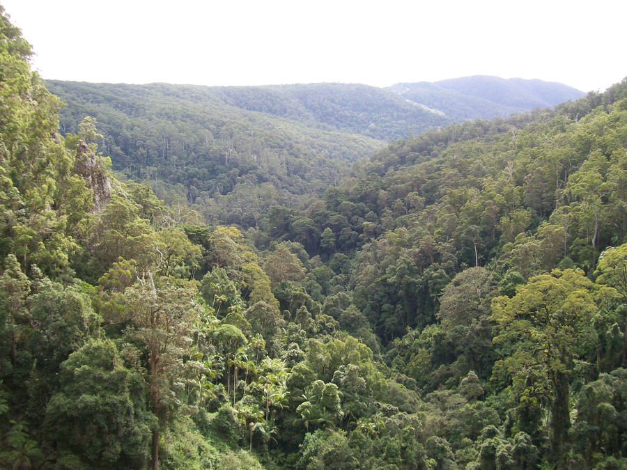 Springbrook Valley Springbrook - The Valley by Phantom-Nightwing on DeviantArt