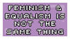Stop proposing we rename feminism to equalism