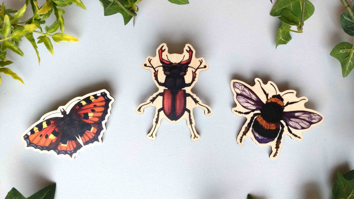 Pinned Insect Vector Wooden Insect Pins by Eyenoom on DeviantArt