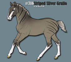 #316 Striped Silver Grullo (FOR SALE)