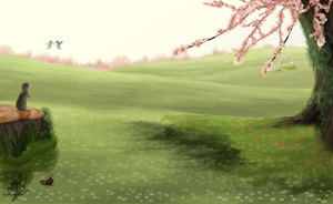 Free to Use- Spring Meadows