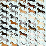50 Horse Designs for Sale!
