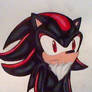 Shadow the Hedgehog