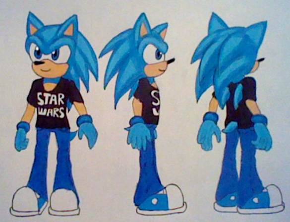 Gamer the Hedgehog concept