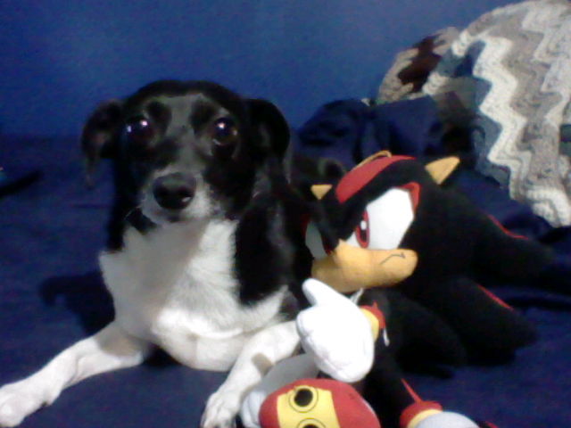 Bella with my Shadow plush