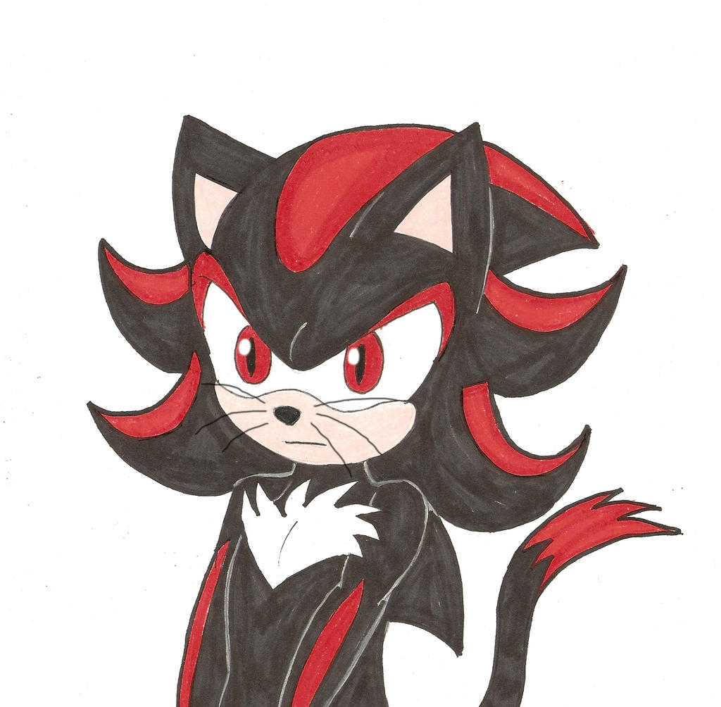 Shadow the Ultimate Kitty Cat