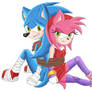 SonAmy Boom: Hero and Damsel in Distress