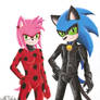 Miraculous LadyRose and Cat Sonic