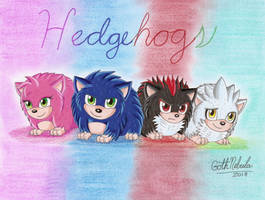 Hedgehogs