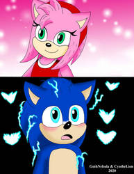 If Sonic meets Amy Rose in the future sequel