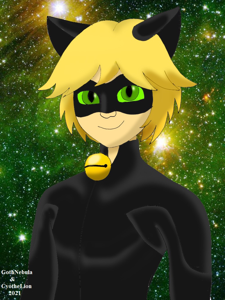 Movie Cat Noir by GothNebula on DeviantArt