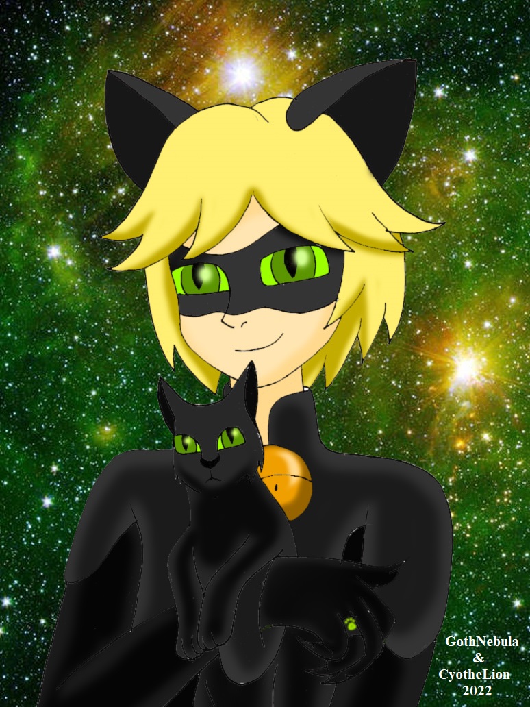 Movie Cat Noir by GothNebula on DeviantArt