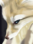 Fennec Fox by xToulax
