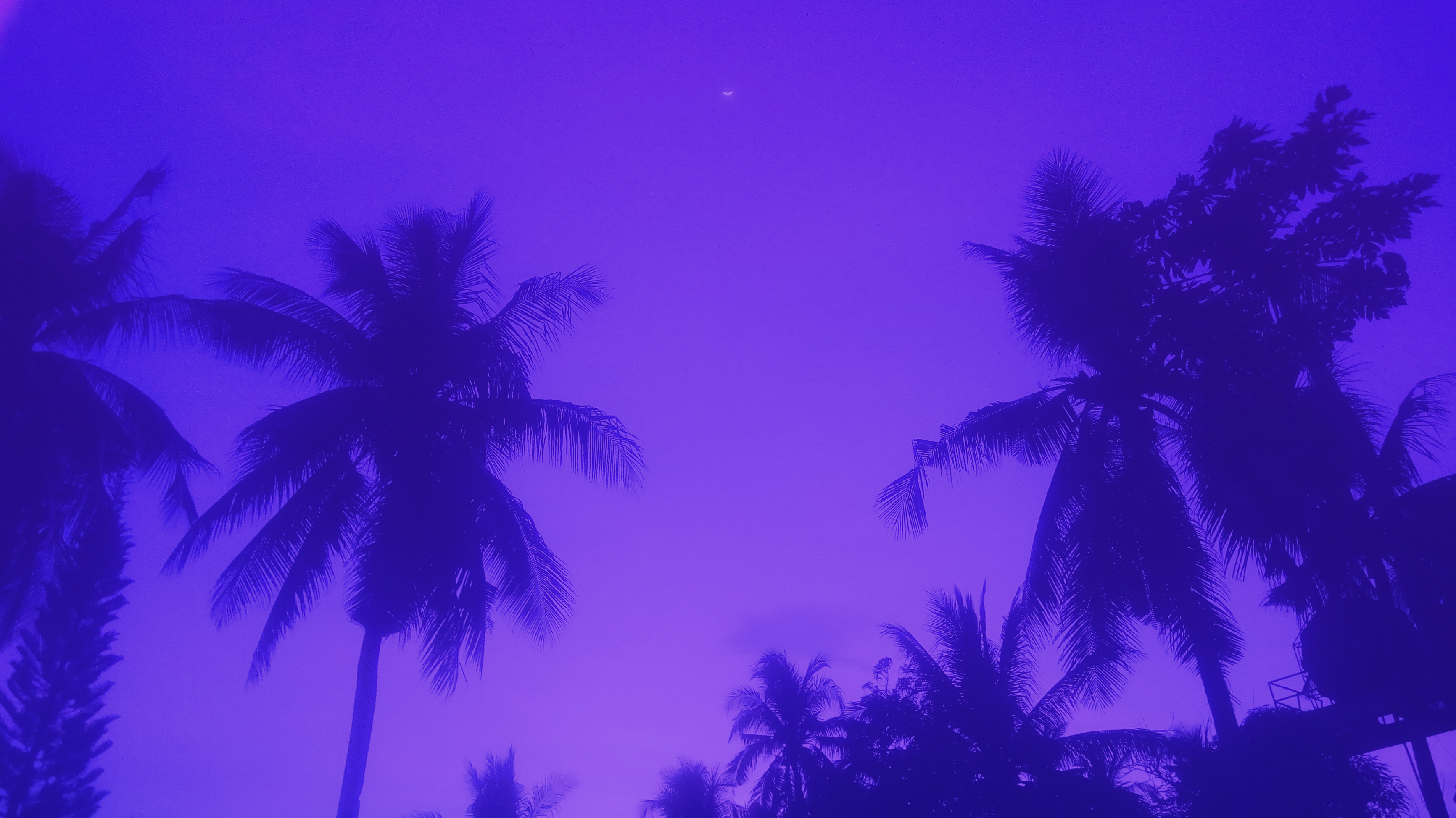 Untitled54 20241223223029