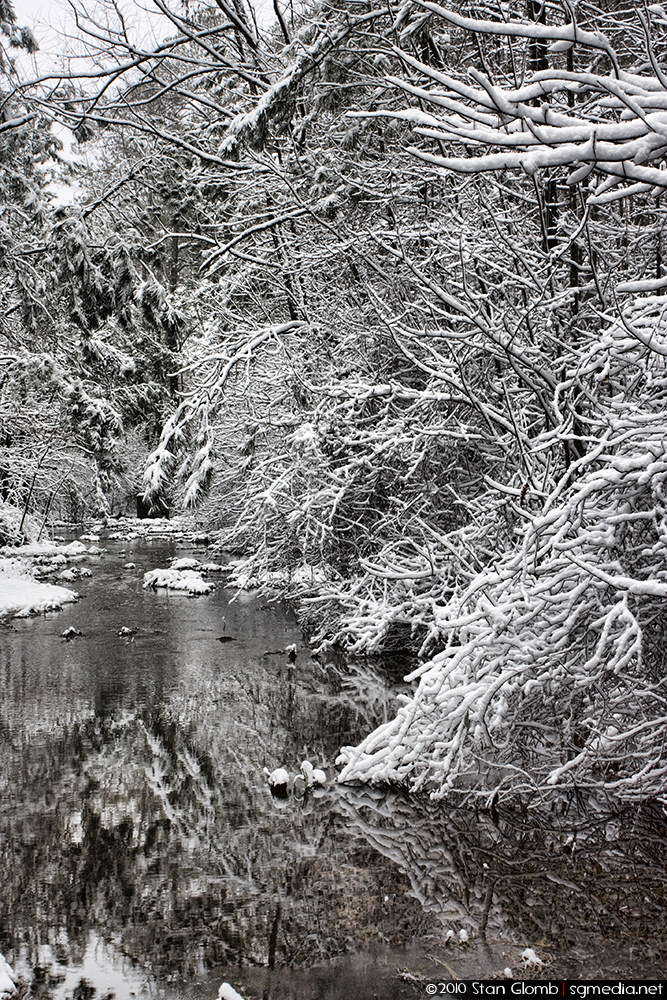 Snow scape