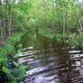 Flood of 2012 - Grassy Path