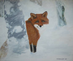 Fox in the wintery forest