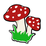 Mushrooms