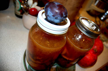 Plums for Liqueur