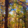 Autumn 2025