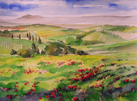 Tuscany hills - valdorcia