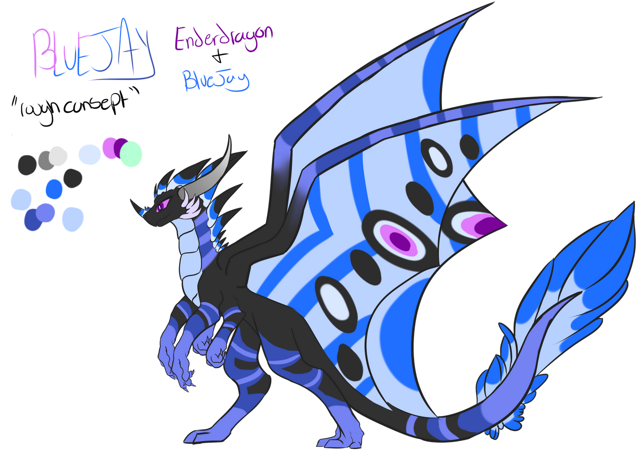 BlueJay - completed ref by Dracuonex on DeviantArt
