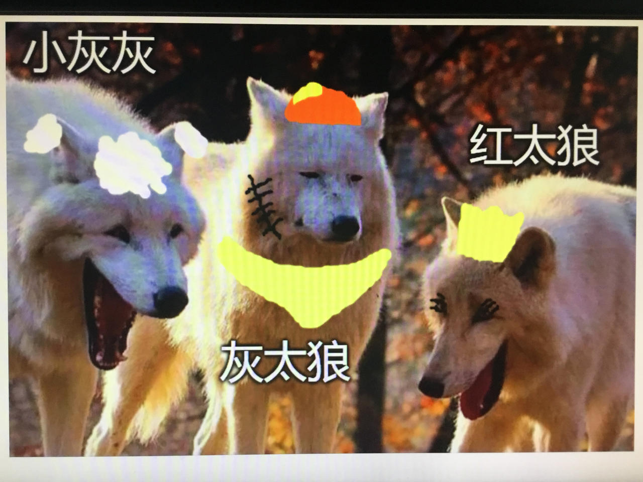 Laughing Wolves meme: PGABBW by Challenger153 on DeviantArt