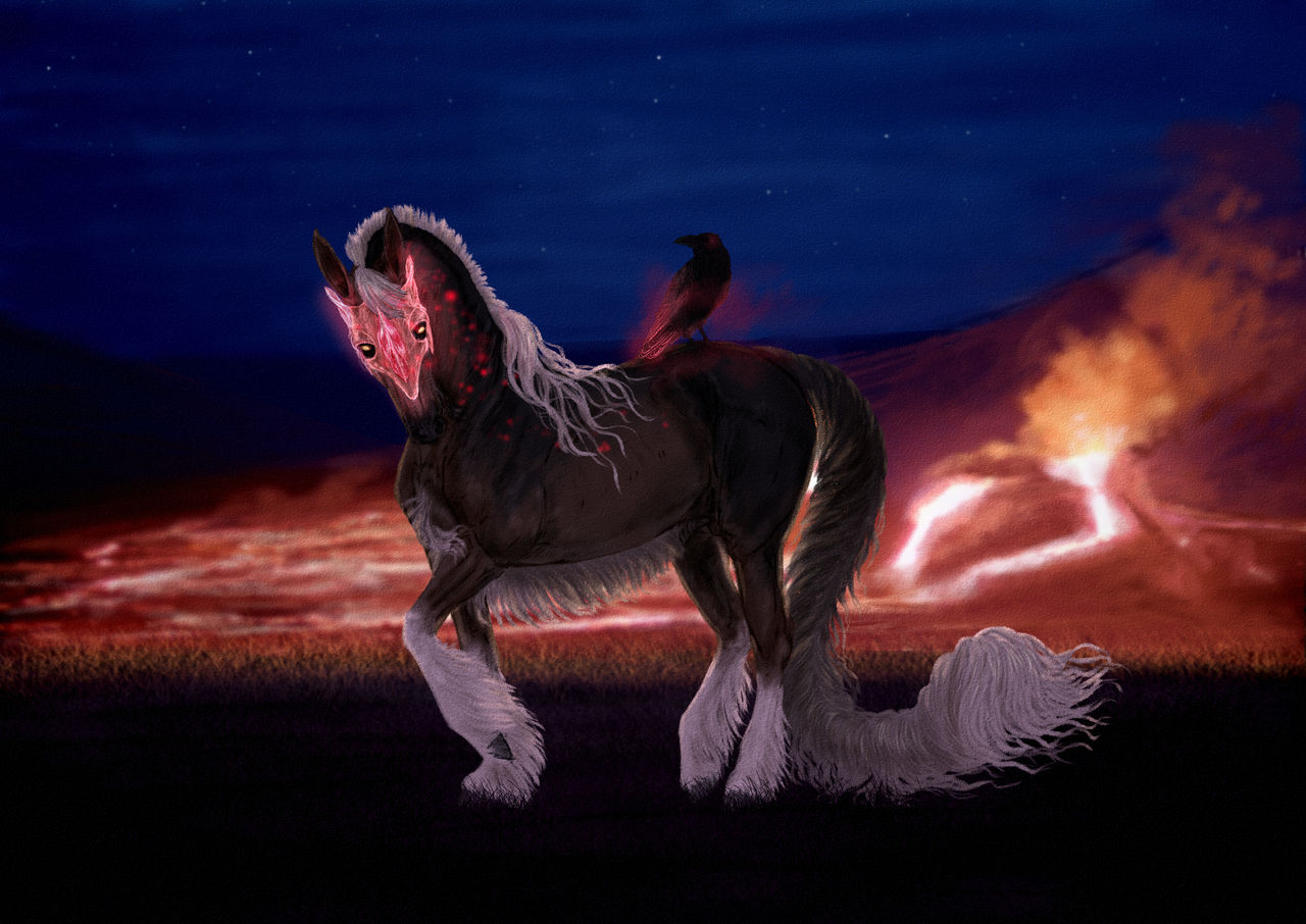 Commission | for LoraTais | Unicorn with Raven by DanManka on DeviantArt