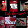 Dale Earnhardt Desktop