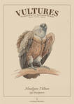 Himalayan Vulture Poster by Schwartz-Design