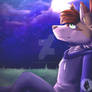 The Moonlight