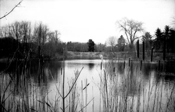 lake overview