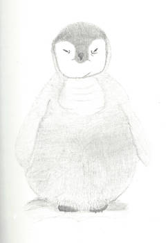 Baby Penguin