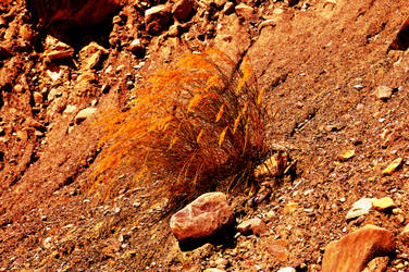 Life on Mars : the hidden report of Curiosity by crapopabo