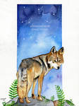 Wolf by the stars by Hikasawr
