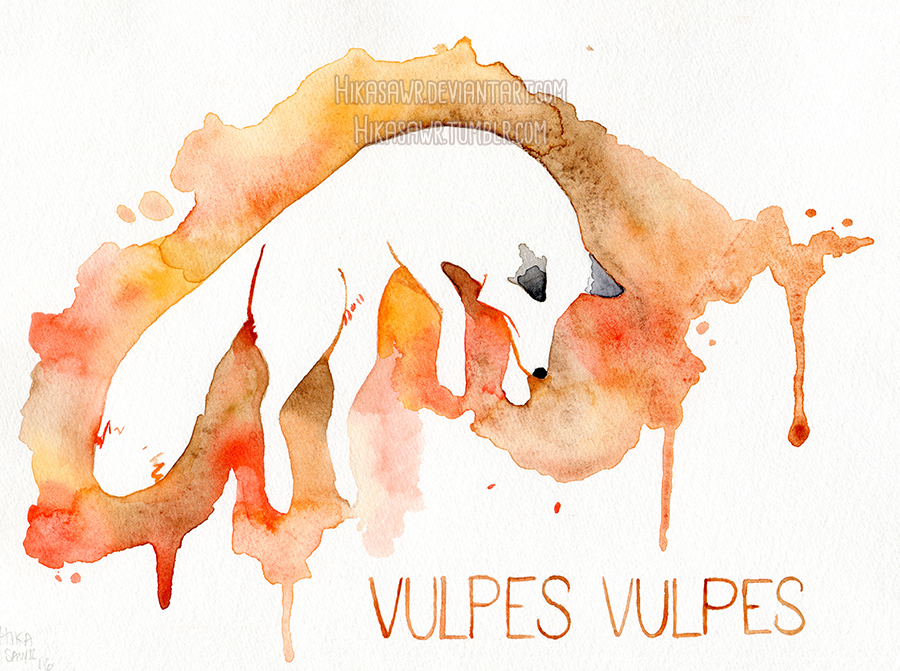 Jumping Vulpes Vulpes