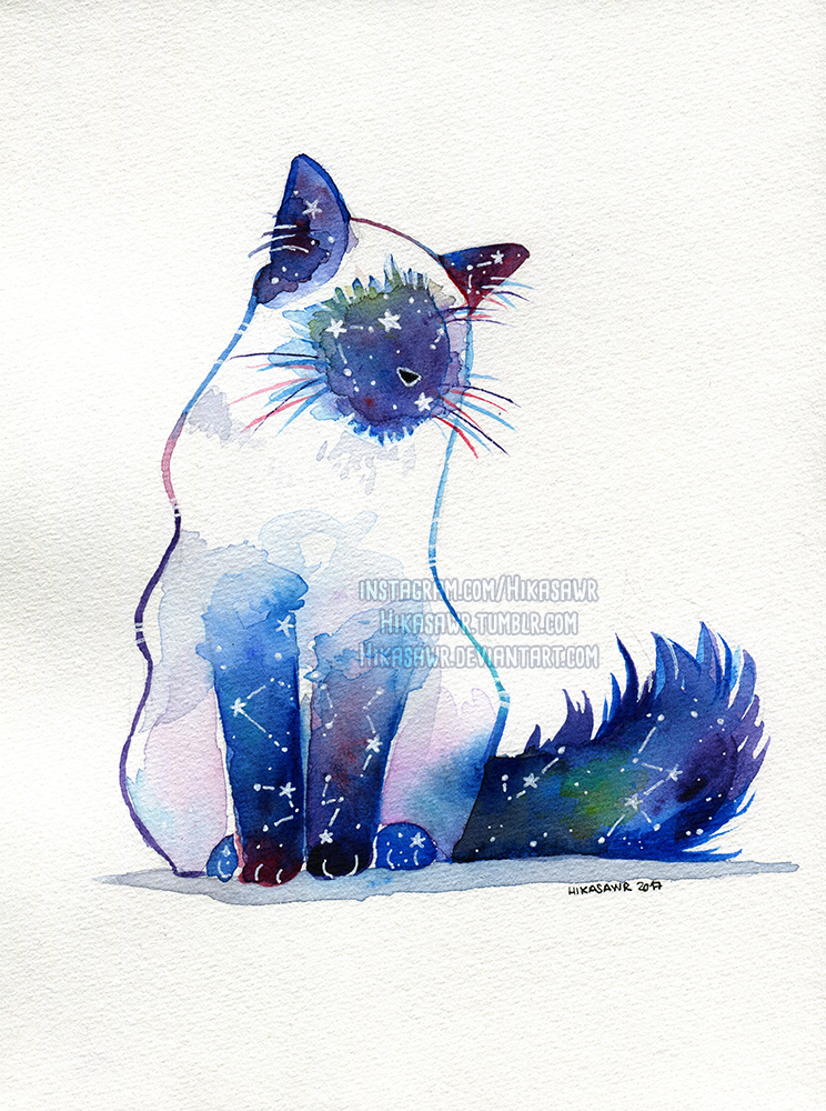 Galaxy Cat