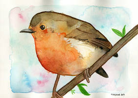 Robin