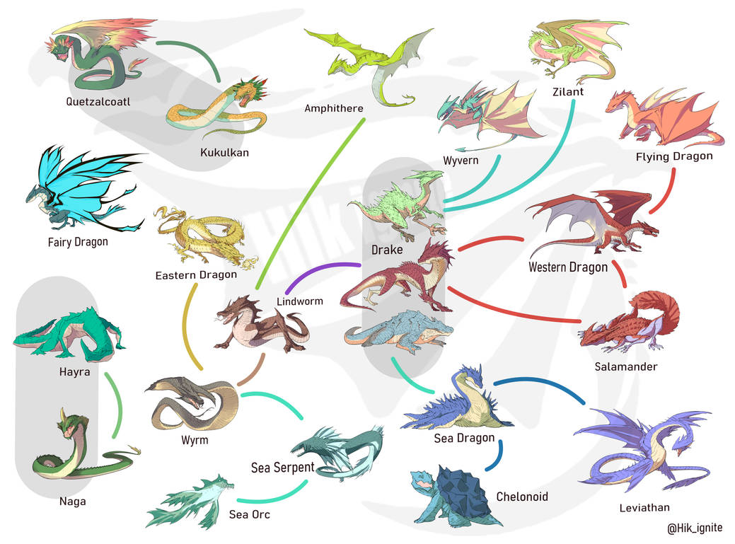 Dragon Spicies by Hik-ignite on DeviantArt