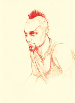 Vaas