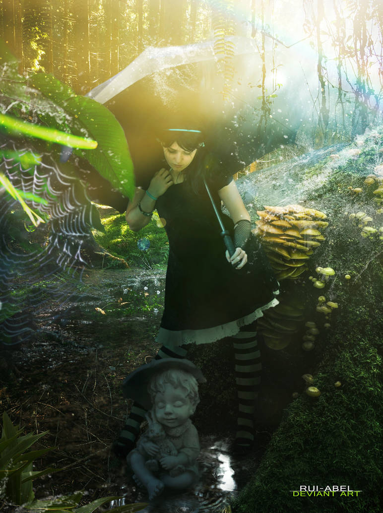 After the rain... by Rui-Abel After the rain... by Rui-Abel