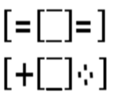 DS ASCII