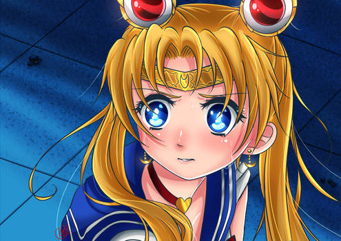 [ Sailor Moon Redraw ]