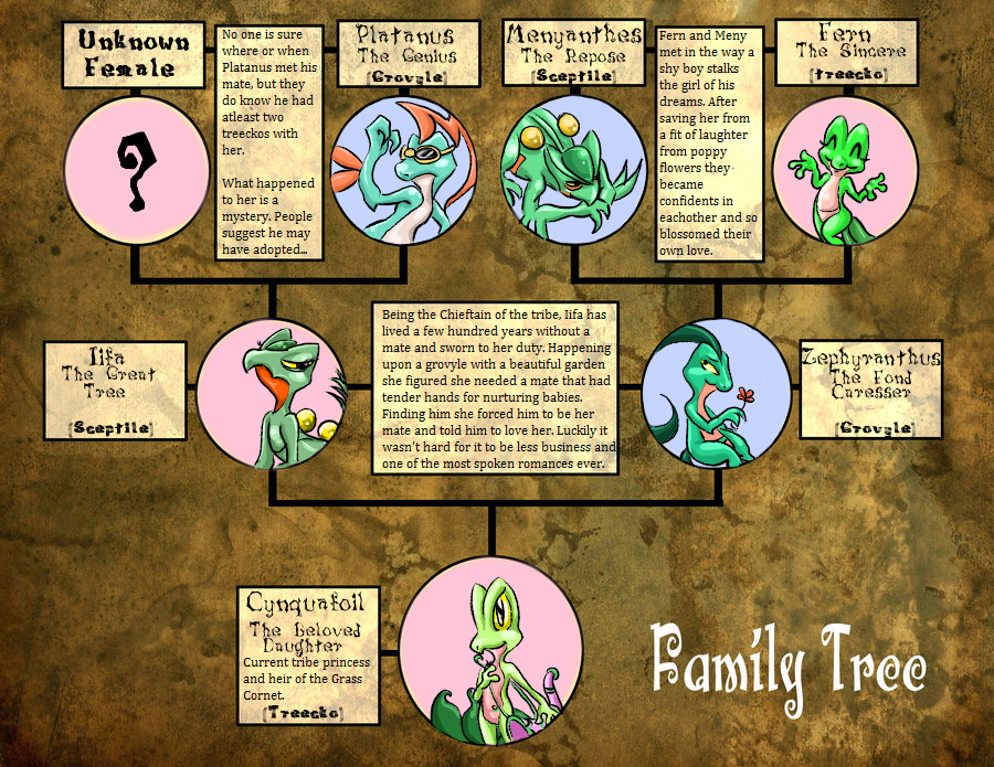 Family Tree: Treecko Tribe