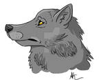 Wolf Fur 1 by ExodusDenied