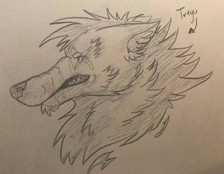 Treyu (sketch)